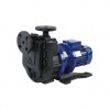 MAGNETIC DRIVE PUMPS