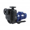 MAGNETIC DRIVE PUMPS